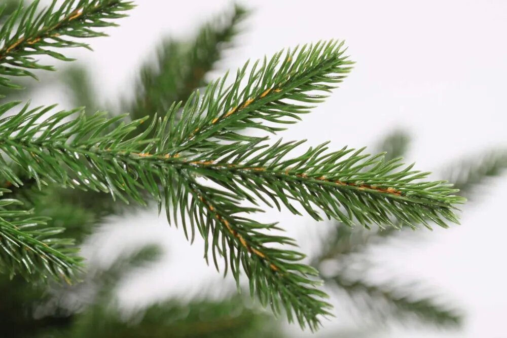 Ель искусственная Царь елка Адель 210 см АДЛ-210