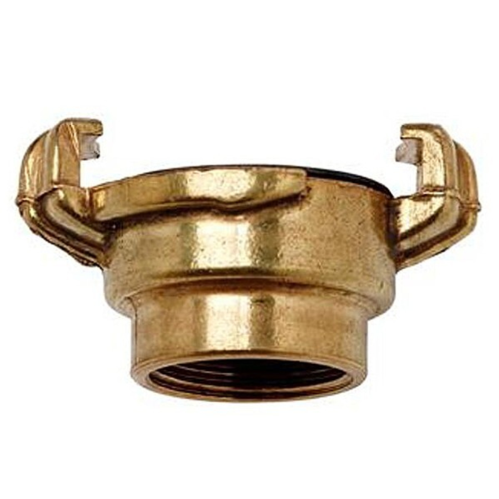 GolovkamuftovayaCHAMPIONGM25D1C2524-c2524