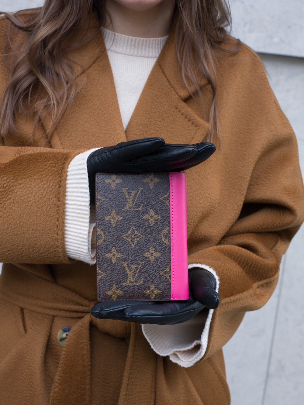 Louis Vuitton Обложка для паспорта
