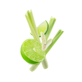 STARLINE - Trawa cytrynowa (250g)