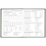 Дневник 5-11 класс 48 л., твердый, BRAUBERG, глянцевая ламинация, с подсказом, "Freestyle", 106395