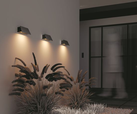 Уличный настенный светильник Outdoor O429WL-L6GF3K