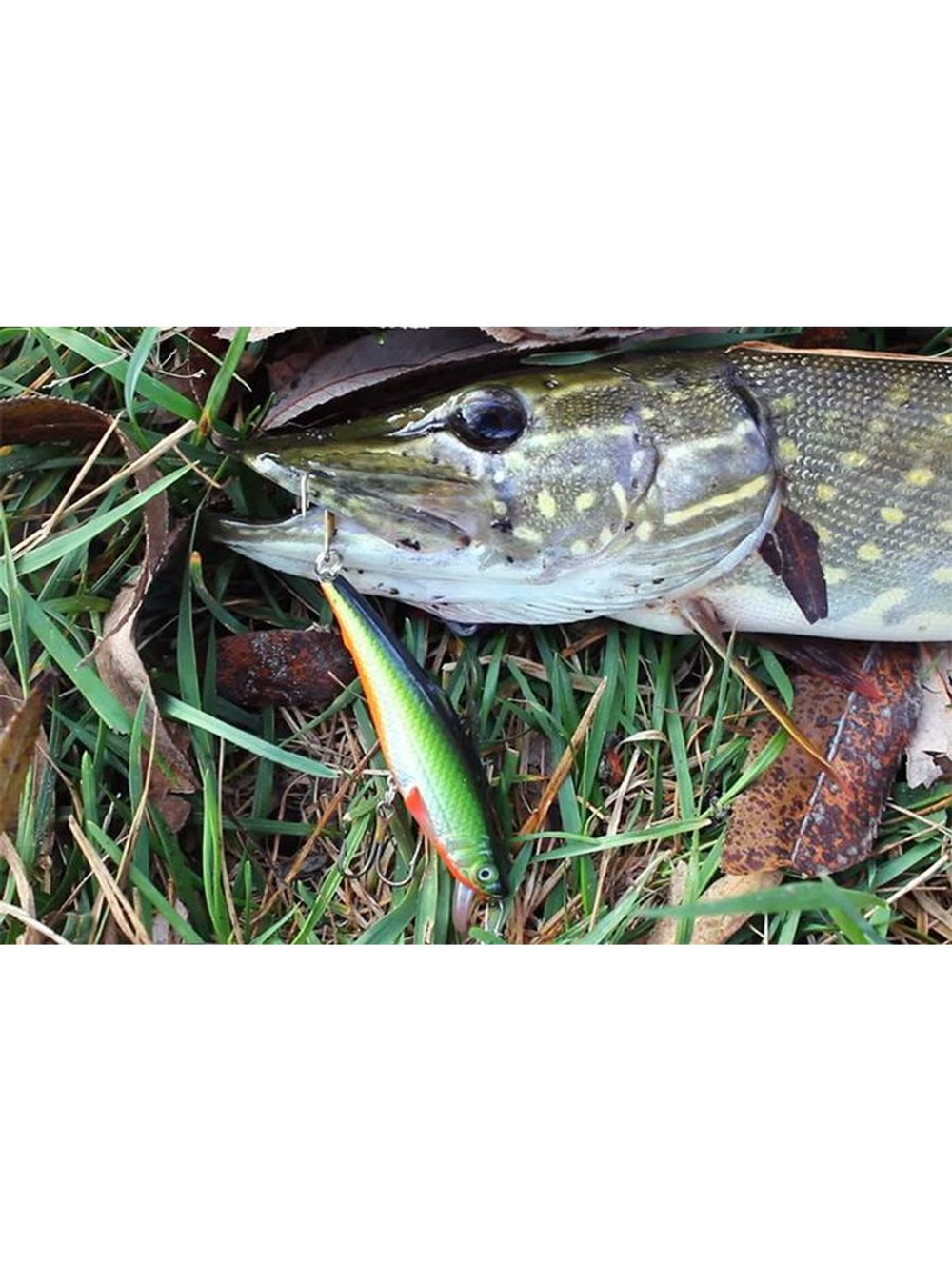 Воблер рыболовный плавающий KLOSS 70mm, цвет 048, 1 штука