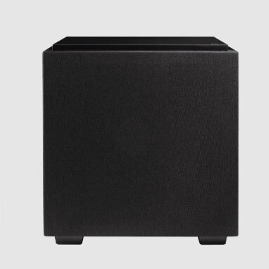 Definitive Technology Descend DN10