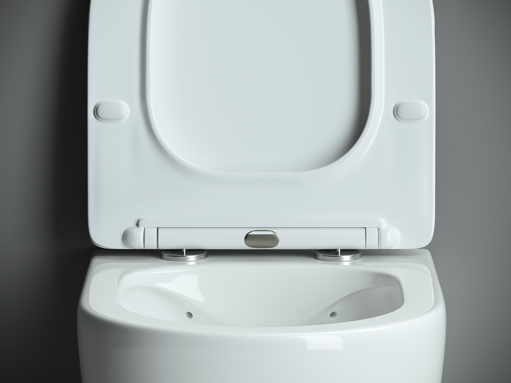 Подвесной унитаз Mono Rimless