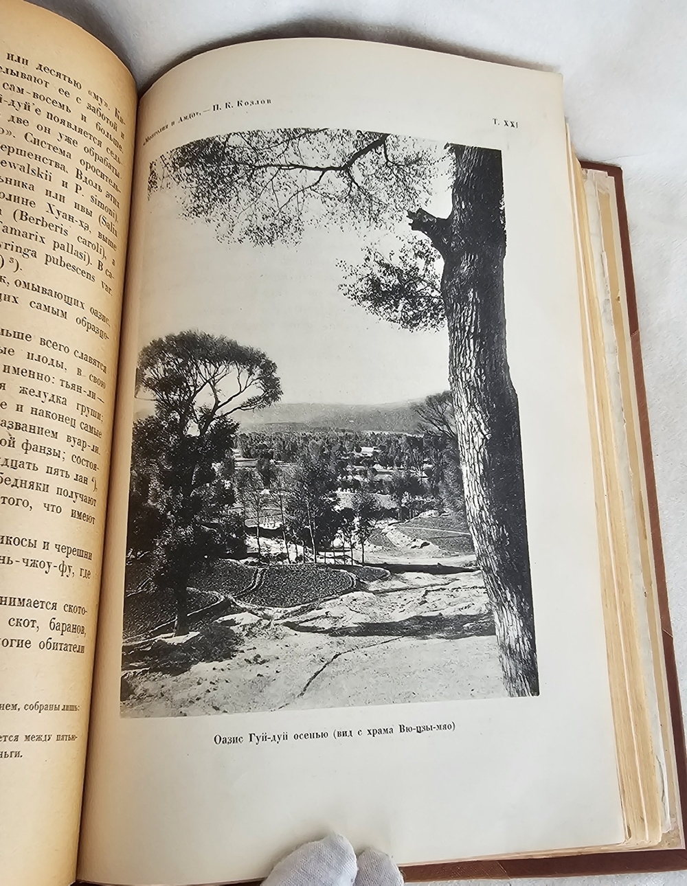 "Монголия и Амдо и мертвый город Хара-Хото. Экспедиция Русского Географического Общества в Нагорной Азии". П.К. Козлов. 1923г.