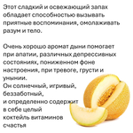 Дыня, кубики восковые для ароматизации, 10 штук