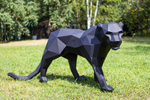 Panthers 3 years