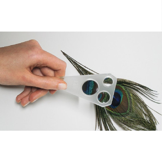 "Биология. Основы биологического практикума"