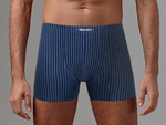 Удобные мужские боксеры в полоску (Размер: XXL) (Цвет: голубой)