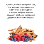 Сандал и ягоды, кубики восковые для ароматизации, 10 штук