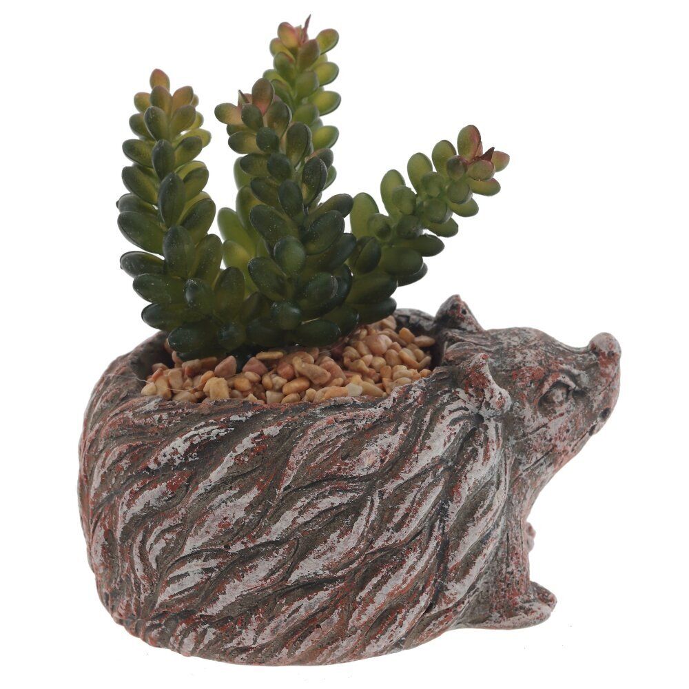 GAEM Цветочная композиция "Суккулент", L14 W12 H12 см, 4в.