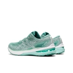 Женские кроссовки ASICS GT-2000 10 'Sage White' 1012B045-300