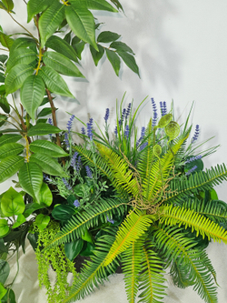 Рябина с папоротником 80см в длинном кашпо