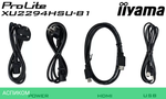 Монитор Iiyama ProLite XU2294HSU-B2