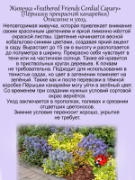 Живучка Пёрышки прекрасной канарейки