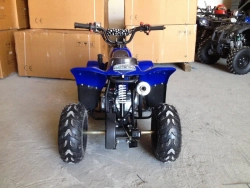 Квадроцикл RAPTOR 110