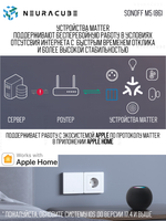 Умный WiFi (Matter) выключатель Sonoff M5-2C-86W (Работает с Яндекс Алисой)