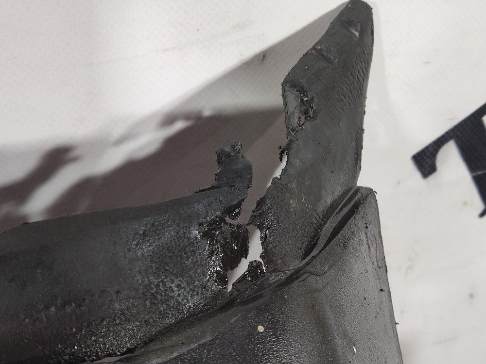 Крыло заднее задняя часть