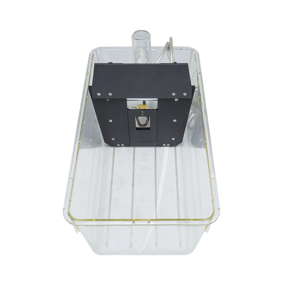 Тест орофациальной стимуляции