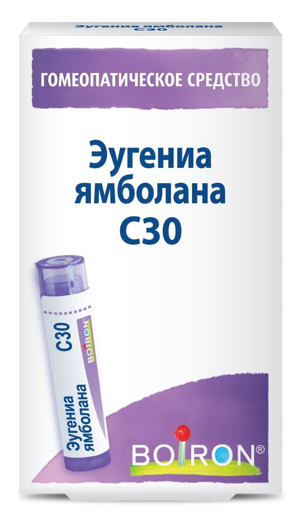 Эугениа ямболана (Eugenia Jambolana) C30 Буарон
