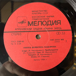 Винтажная виниловая пластинка LP Группа Валентина Бадьярова, Валентин Бадьяров (Ех Песняры) (СССР 1985)