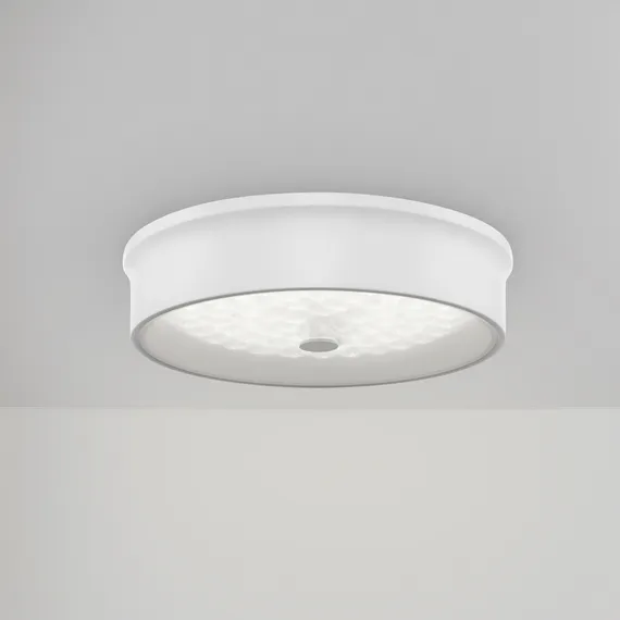 Потолочный светильник FR10011CL-L24W Элементы 24 Вт LED Freya fr10011cl-l24w