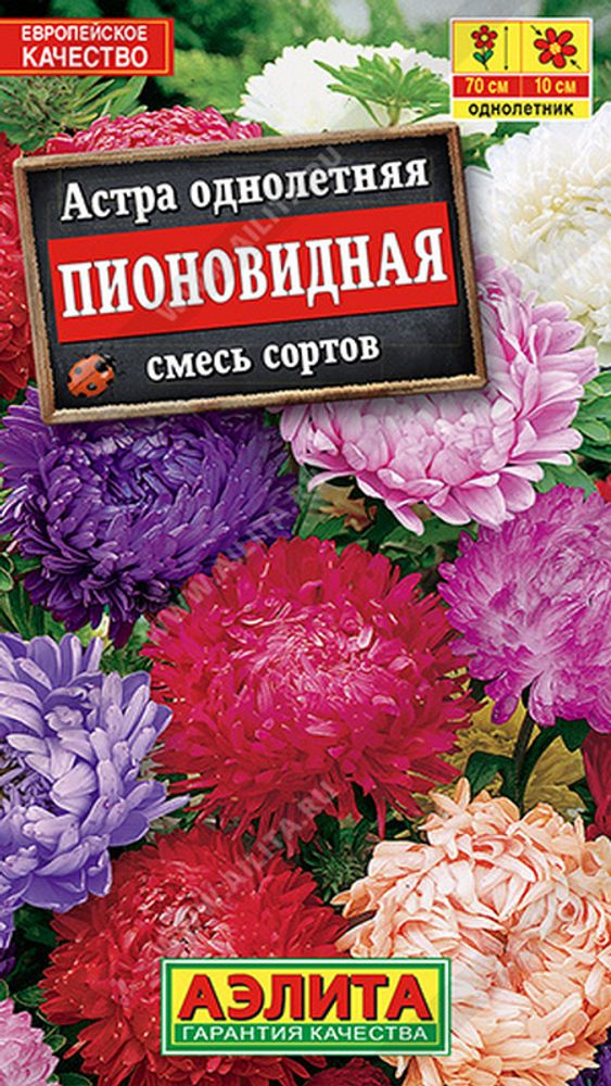 Астра &quot;G. Пионовидная&quot; 0.2г., Россия.