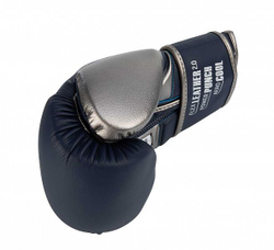 Перчатки боксерские Clinch Punch 2.0