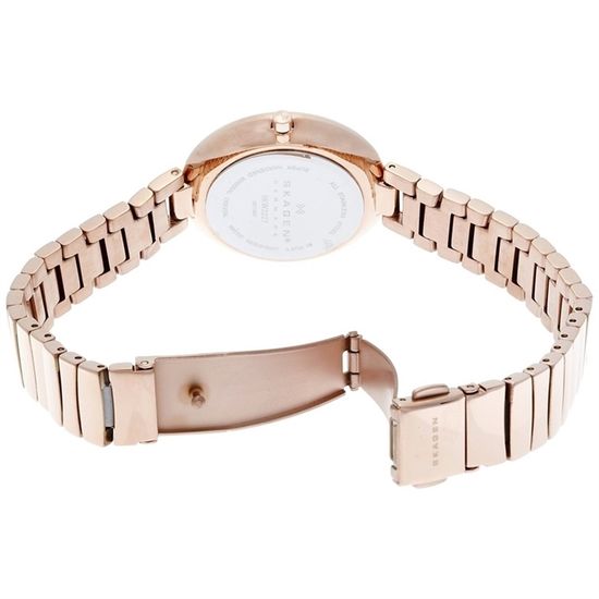 Женские часы Skagen SKW2227