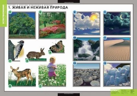 Учебный альбом Окружающий мир. Летние и зимние изменения в природе (13 листов , 32 карточки)