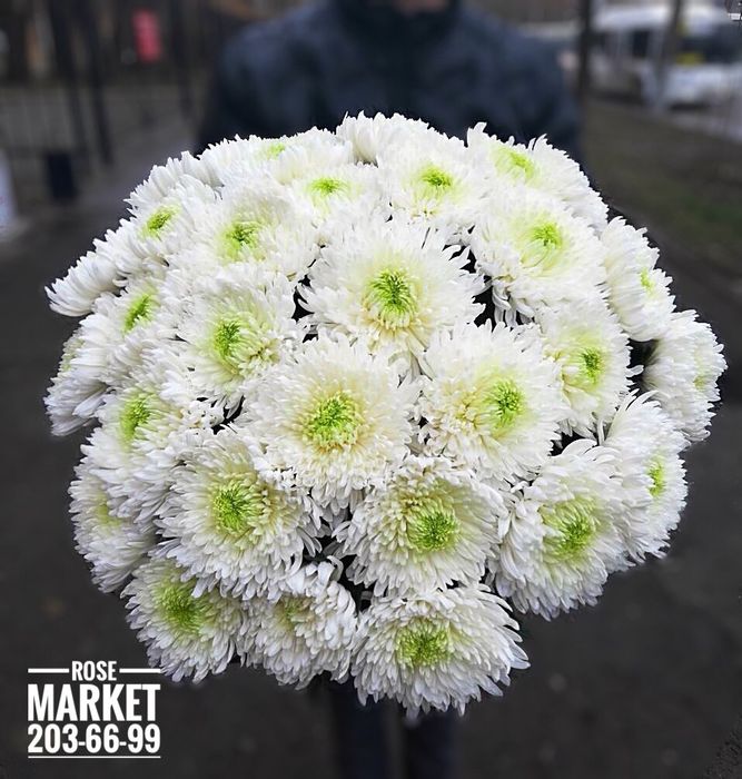 Букет из 31 одноголовой хризантемы #11930