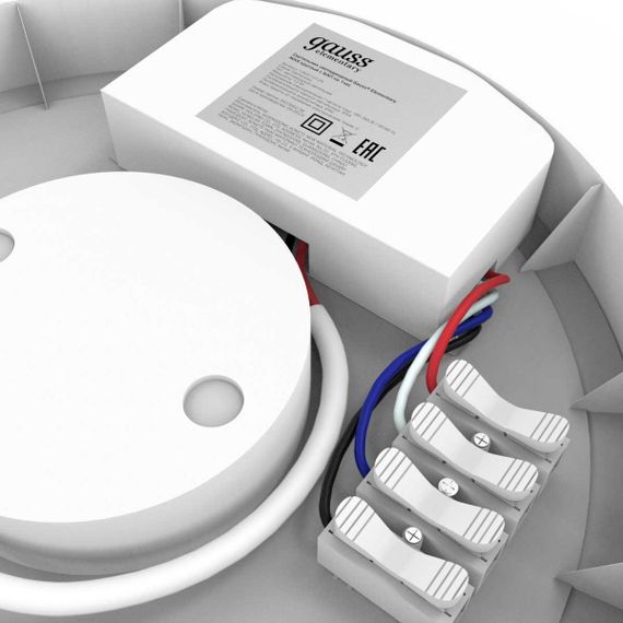 Потолочный светодиодный светильник Gauss Сауна 126411212