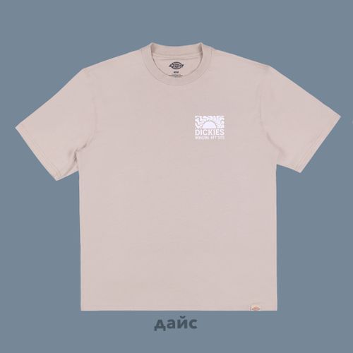 Футболка мужская Dickies Saltville Tee артикул:DK0A4YR9SS01 - купить в магазине Дайс