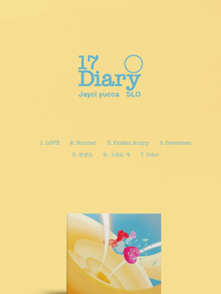 Альбом JAYCI YUCCA X SLO - 17 DIARY