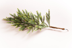 Ель TreeDeLuxe Королевская 100% литая 230см зеленая