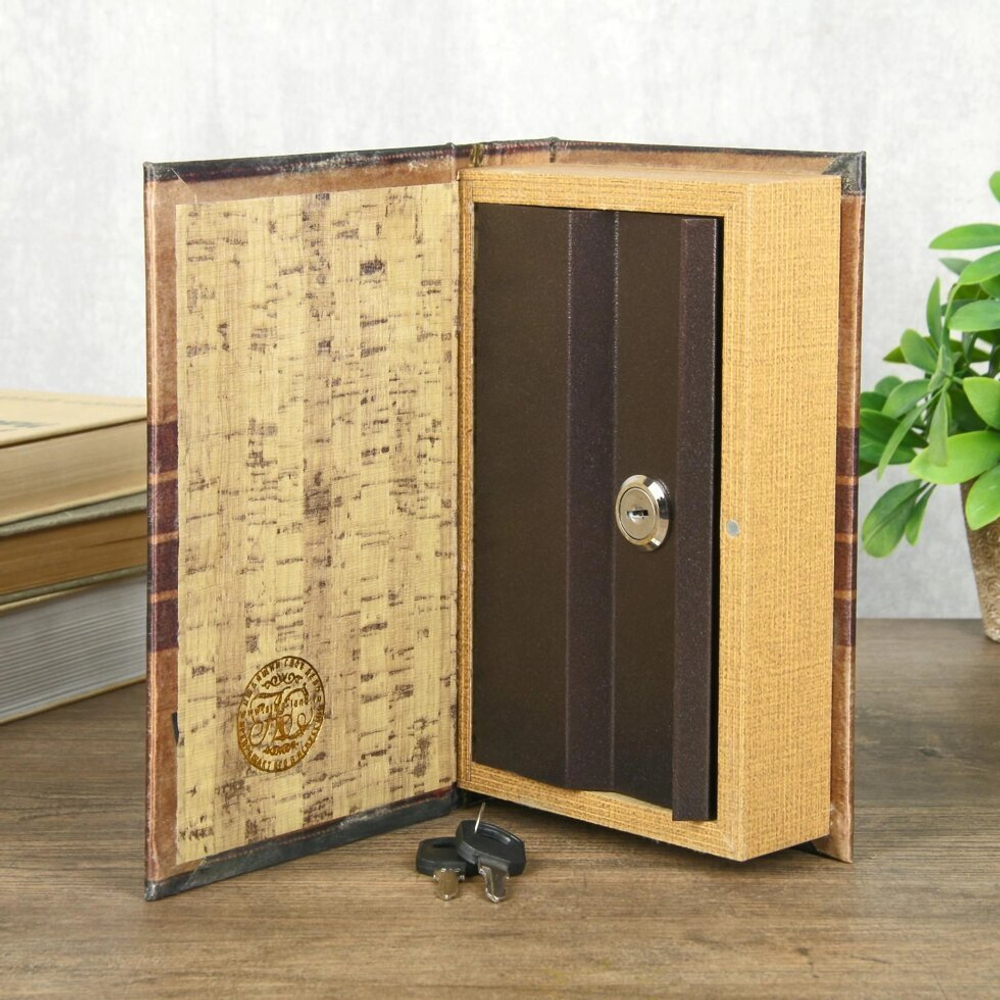 Сейф книга Неприкосновенный запас 21*13*5 см