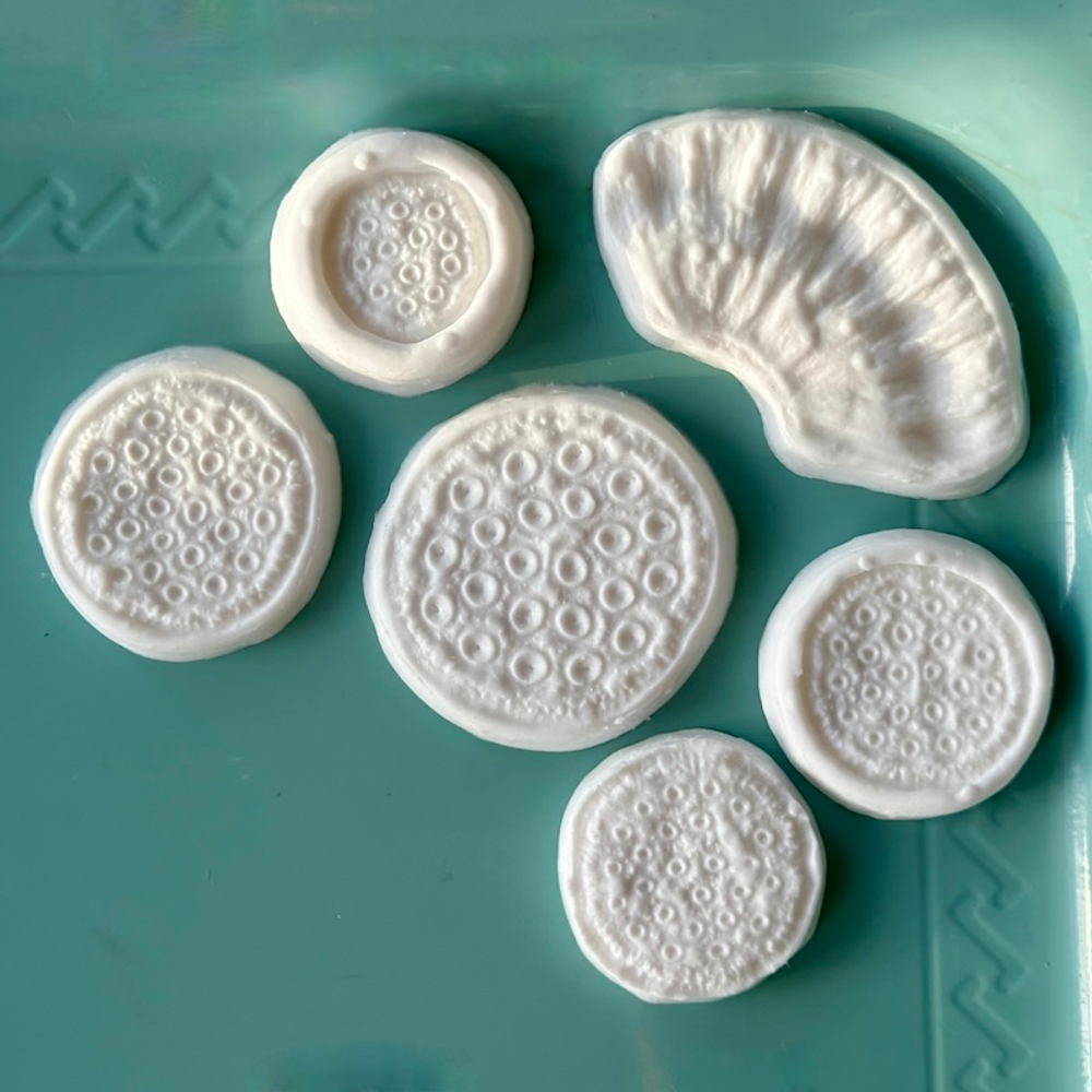 Набор Молдов для коробочки лотоса