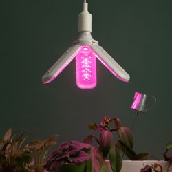 Фитолампа для растений светодиодная ЭРА GREEN LINE ФИТО-30W-PL-E27-GR 3-х лепестковая красно-синего спектра 30 Вт Е27 | Фитолампы Е27