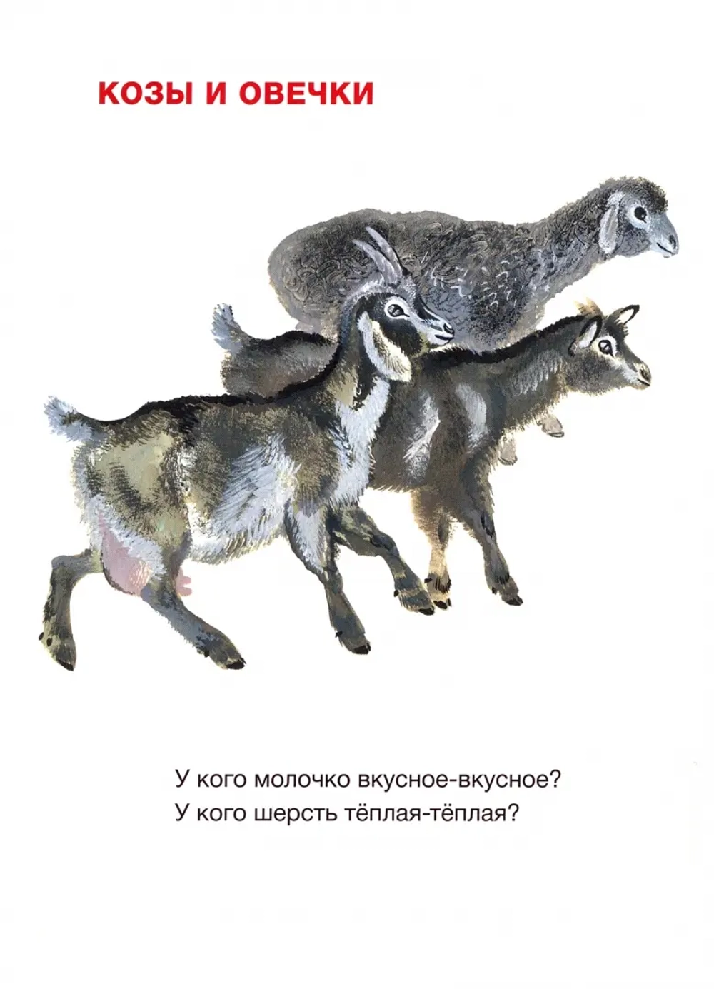 Вот они какие