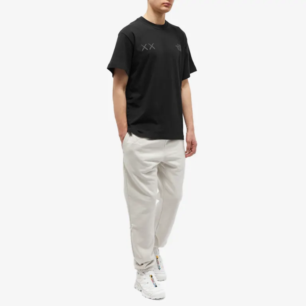 Футболки THE NORTH FACE TNF x KAWS Logo T, NF0A7WLL-JK3