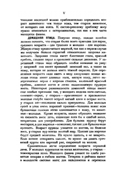 Кухня на плите и примусе | К.Я. Дедрина