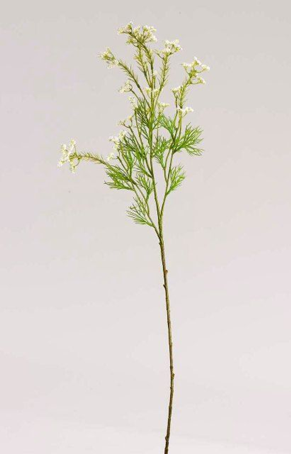 Солидастер 76см Полиэстр, пластик