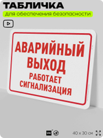Табличка для обеспечения безопасности "Аварийный выход, сработает сигнализация", для офиса, по охране труда для предприятия, организаций, 40х30 см, Silver Plane x Айдентика Технолоджи