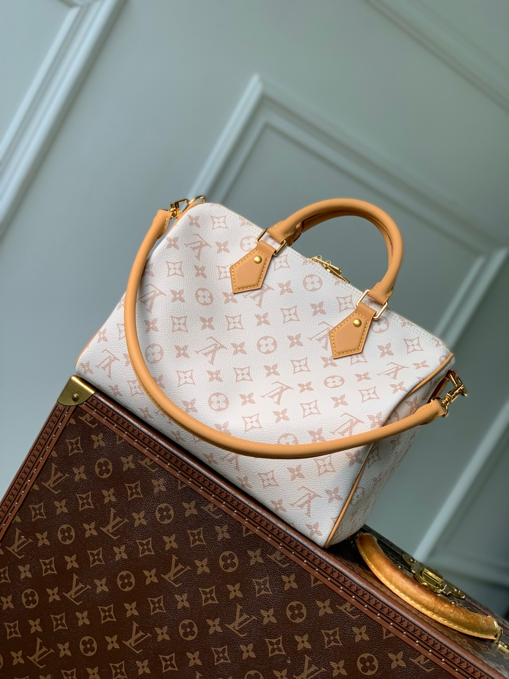 Louis Vuitton Speedy Soft 30