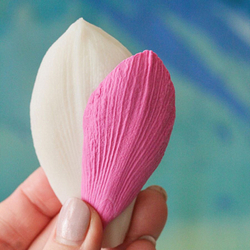 Вайнер лепесток Амариллиса