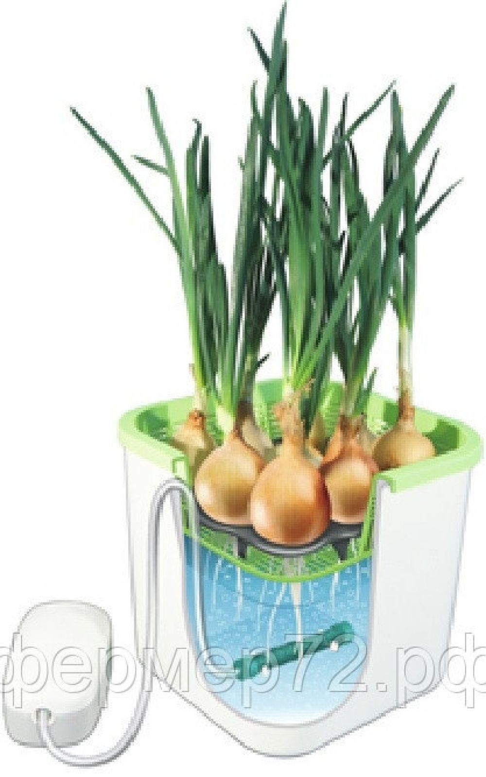 Проращиватель семян  "Здоровья клад"