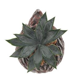 GAEM Цветочная композиция "Суккулент", L14 W12 H12 см, 4в.