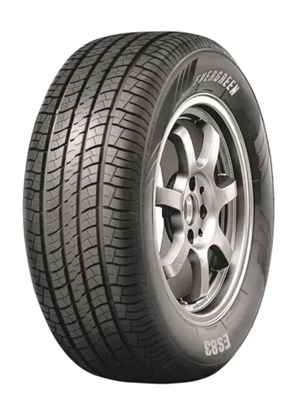 Летняя шина Evergreen Dynacomfort ES83 (255/50 R19 107V)