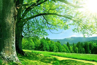 Практический Интенсив-Активация «АЛХИМИЯ СВЯЩЕННОЙ МАТЕРИИ» Вебинар 6